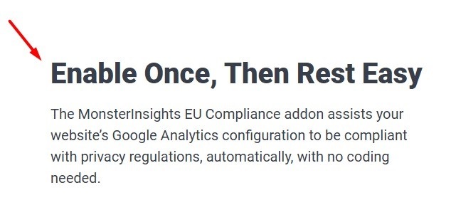 MonsterInsights website screenshot